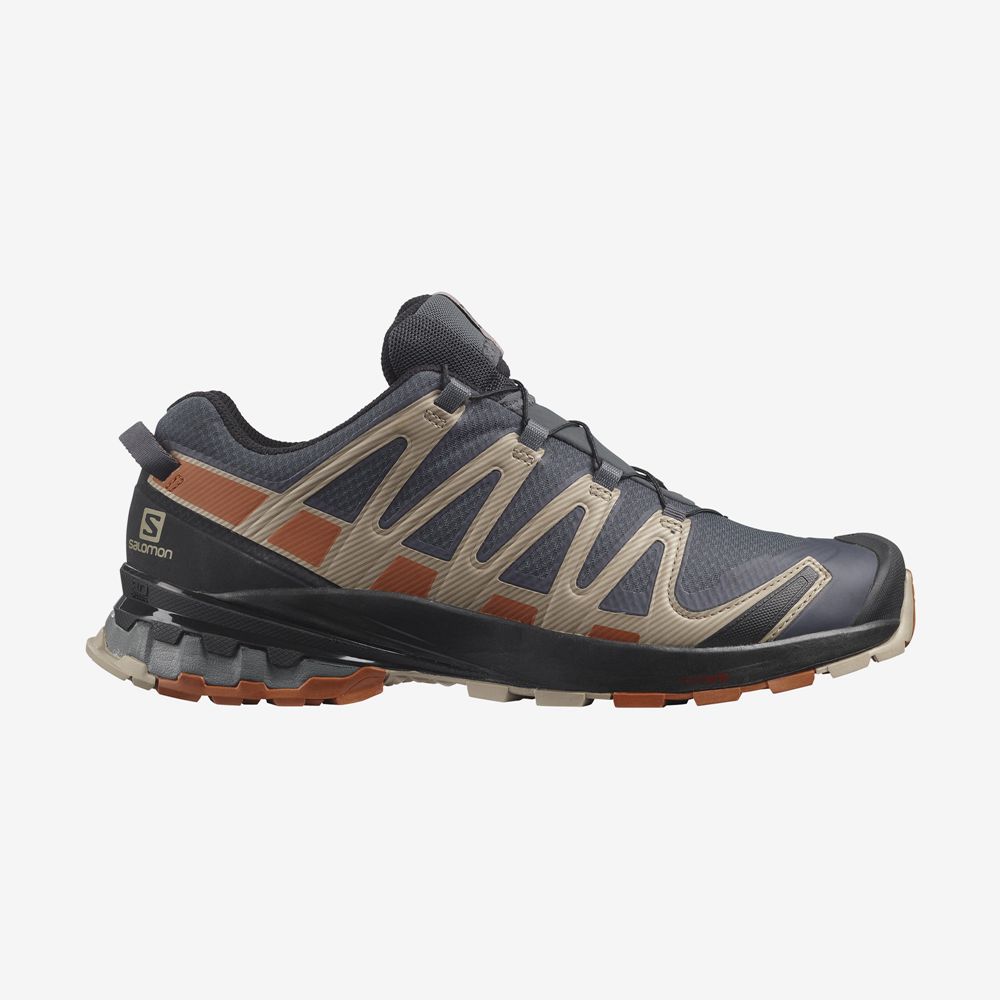 Salomon XA PRO 3D V8 GORE-TEX Zapatillas Trail Running Hombre - Multicolor - Colombia (80563-MCBP)